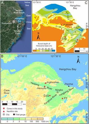 Early to mid-Holocene sedimentary environmental evolution in the palaeo-Ningbo Bay, East China and its implications for Neolithic coastal settlement